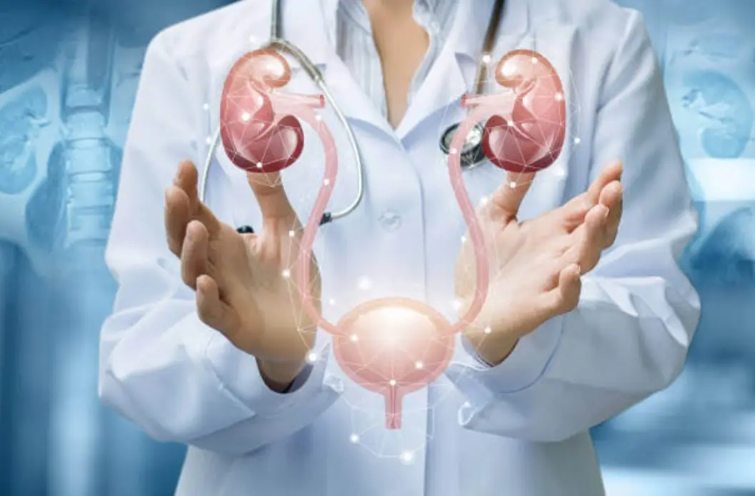 urology specialists