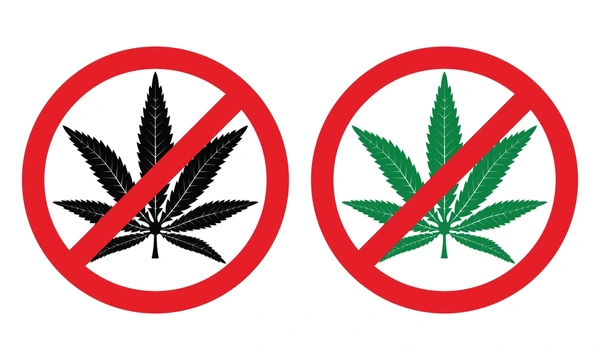Cannabis