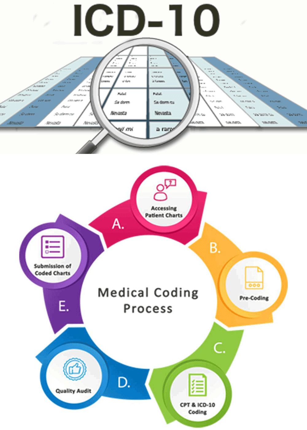 medical coding