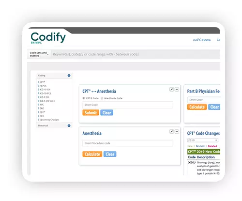 Codify Login
